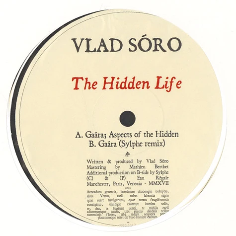 Vlad Soro - The Hidden Life