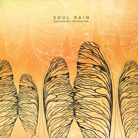Pablo Cahn - Soul Rain Paco Osuna Remix