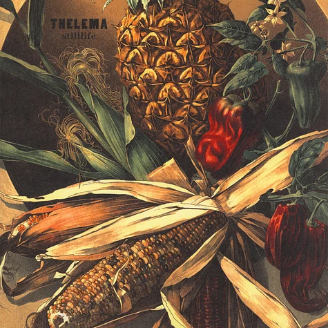Thelema - Stilllife Black Vinyl Edition