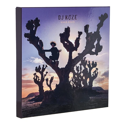 DJ Koze - Knock Knock Limited Edition Box Set