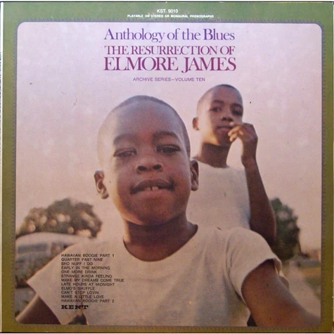 Elmore James - The Resurrection Of Elmore James