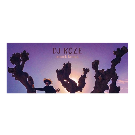 DJ Koze - Knock Knock Poster