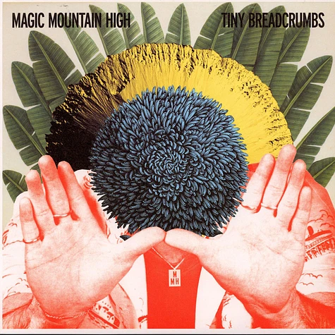Magic Mountain High - Tiny Breadcrumbs