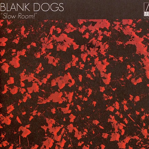 Blank Dogs - Slow Room!