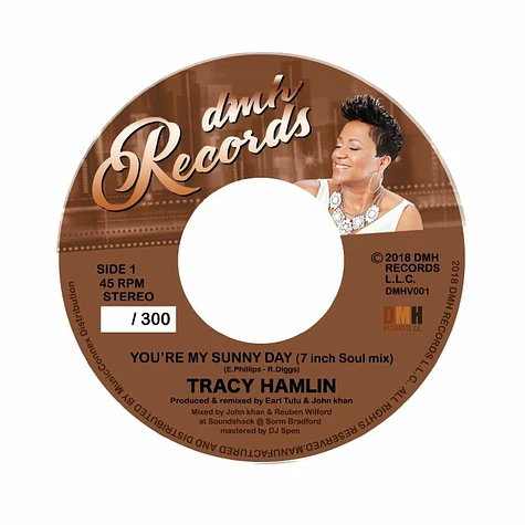Tracy Hamlin - You’re My Sunny Day