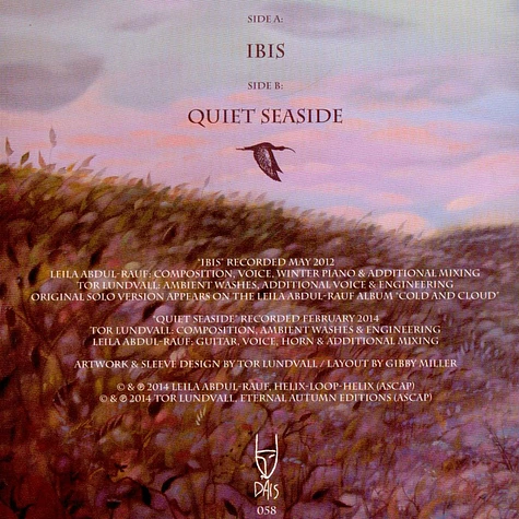 Leila Rauf & Tor Lundvall - Ibis / Quiet Seaside