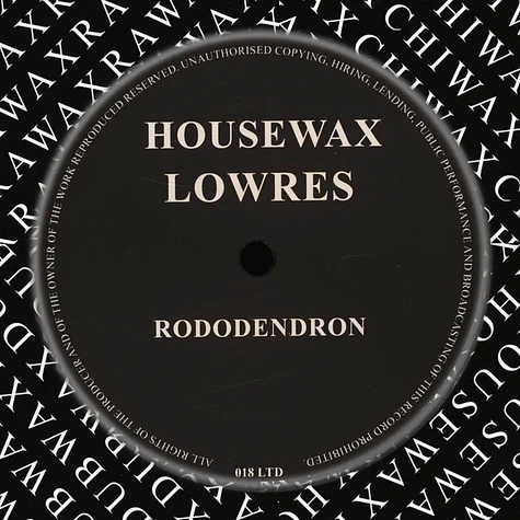 Lowres - Rododendron