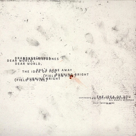 Nine Inch Nails - Not The Actual Events