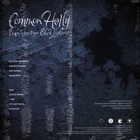 Common Holly - When I Say To You Black Lightning