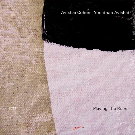 Avishai E. Cohen / Yonathan Avishai - Playing The Room