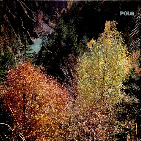 Pole - Wald