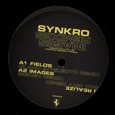 Synkro - Images Remixed