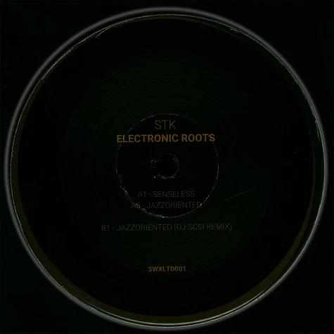 Stk - Electronic Roots DJ Scsi Remix
