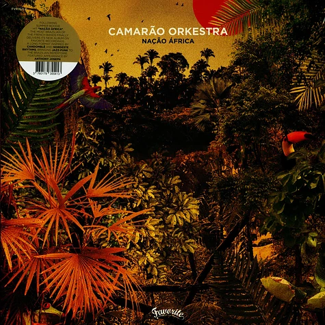 Camarao Orkestra - Nação África