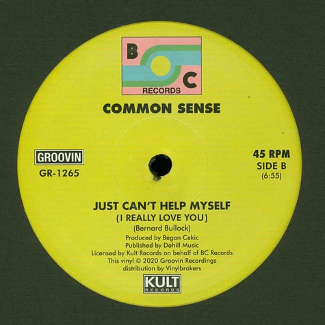 Common Sense - Voices Inside My Head