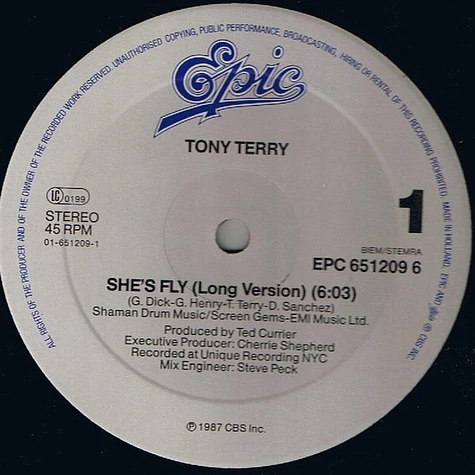 Tony Terry - She's Fly