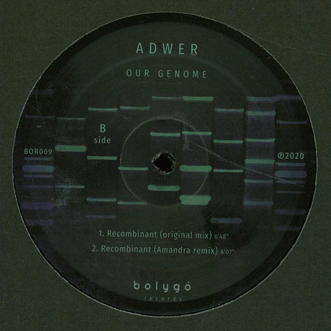 Adwer - Our Genome EP