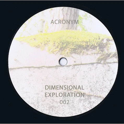 Acronym - Dimensional Exploration 002