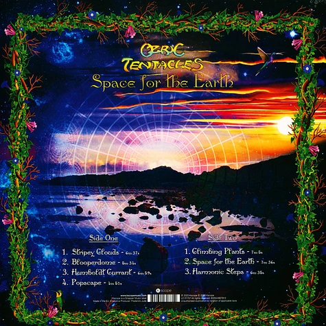 Ozric Tentacles - Space For Earth