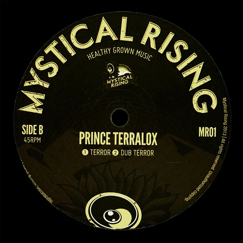 Errol Bellot / Prince Terralux - What Is Going On?, What Is Dub? / Terror, Dub