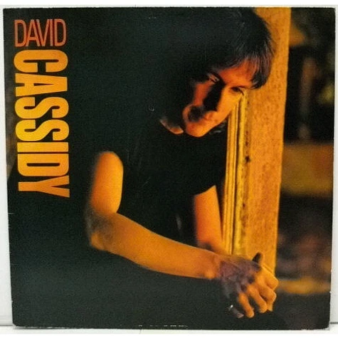 David Cassidy - David Cassidy
