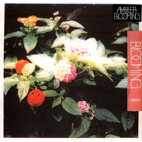 Amulets - Blooming