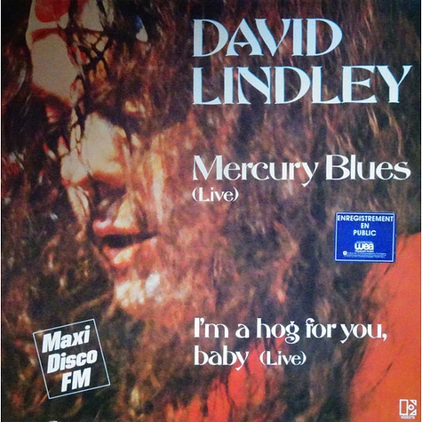 David Lindley - Mercury Blues (Live)