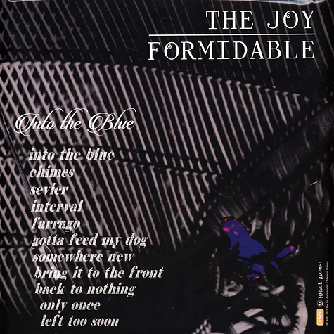 Joy Formidable - Into The Blue