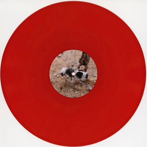 Ditterich Von Euler-Donnersperg - Klein:Rot Red Vinyl Edition Damaged Cover