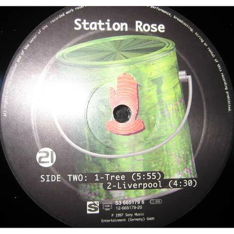 Station Rose - Tree