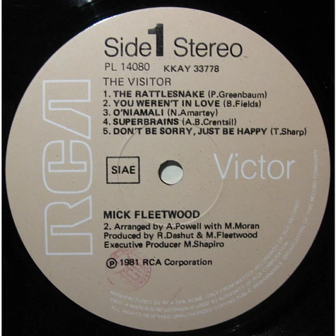 Mick Fleetwood - The Visitor