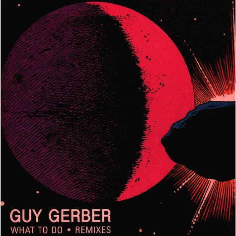 Guy Gerber - What To Do (Remixes)