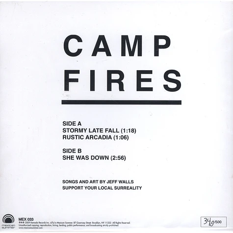 Camp Fires - Stormy Late Fall / Rustic Arcadia / She Was Down