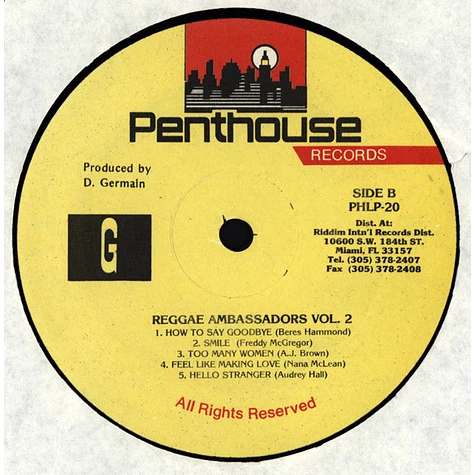 V.A. - Reggae Ambassadors Vol. 2