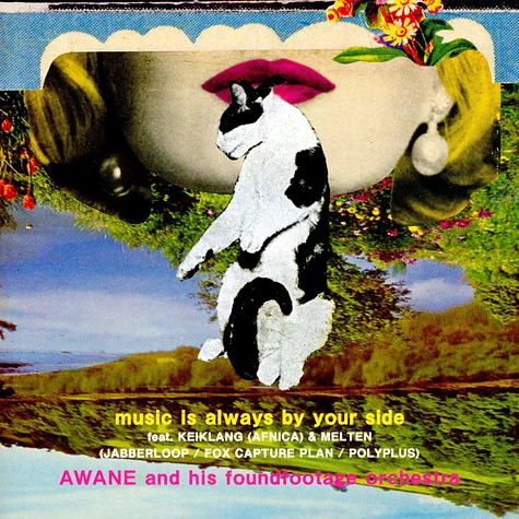 Awane And His Foundfootage Orchestra - Music Is Always By Your Side / Something About Us:The Lewd Hertz Live Dub