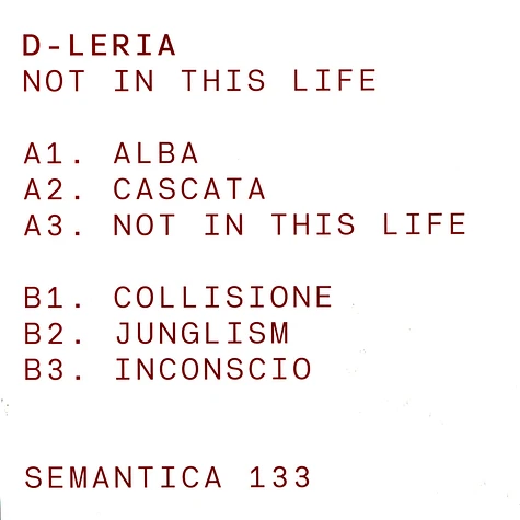 D-Leria - Not In This Life