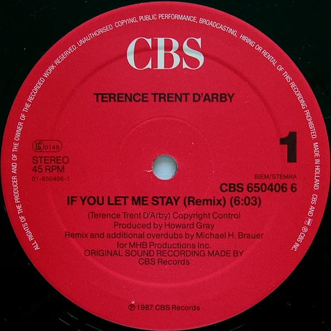 Terence Trent D'Arby - If You Let Me Stay (Remix)