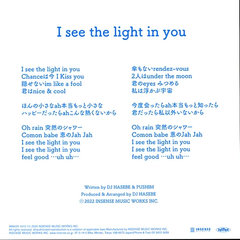 DJ Hasebe /Pushim - I See The Light In You