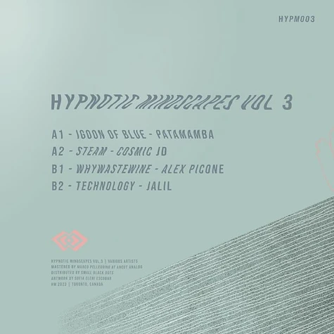 V.A. - Hypnotic Mindscapes Volume 3