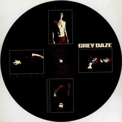 Grey Daze - Amends Limited Picture Vinyl Edition