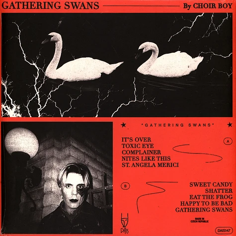 Choir Boy - Gathering Swans Grey Marble Vinyl Edition