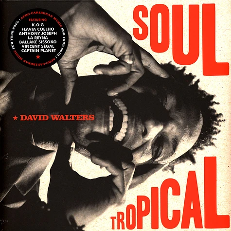 David Walters - Soul Tropical