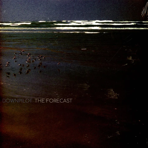 Downpilot - The Forecast