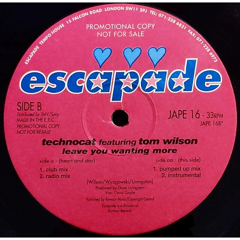 Technocat Featuring Tom Wilson - Leave You Wanting More