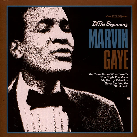 Marvin Gaye In The Beginning Vinyl Record