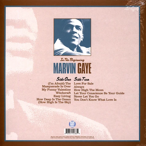 Marvin Gaye - In The Beginning