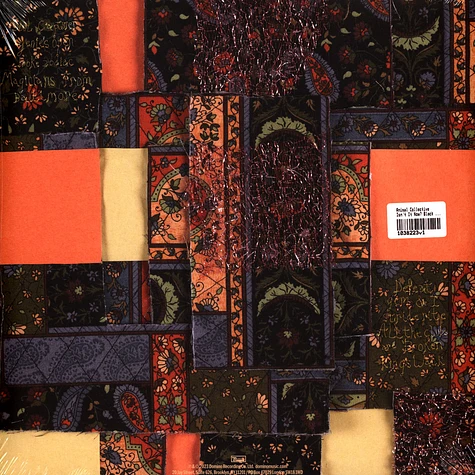 Animal Collective - Isn't It Now? Black Vinyl Edition