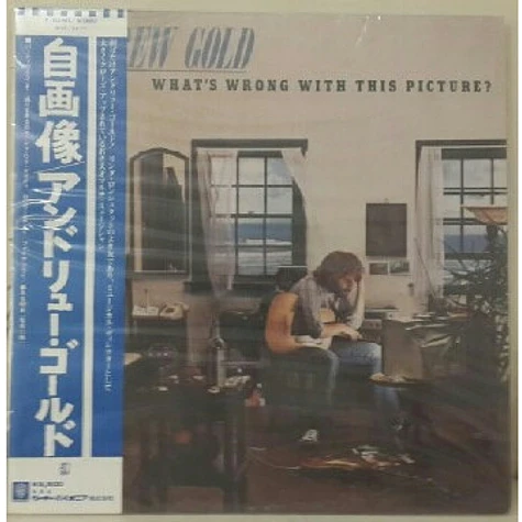 Andrew Gold - What's Wrong With This Picture?