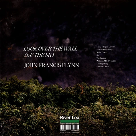 John Francis Flynn - Look Over The Wall, See The Sky