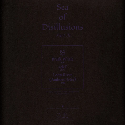 Sea Of Disillusions - Part 3